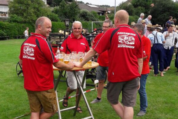 Handdruckspritzenwettbewerb 2017 in Amsham