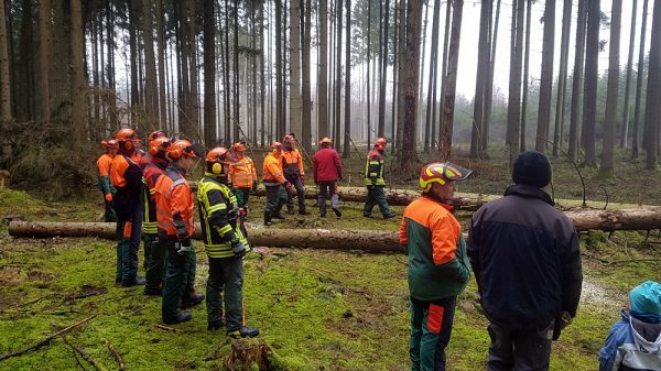 Motorsägenlehrgang 2018