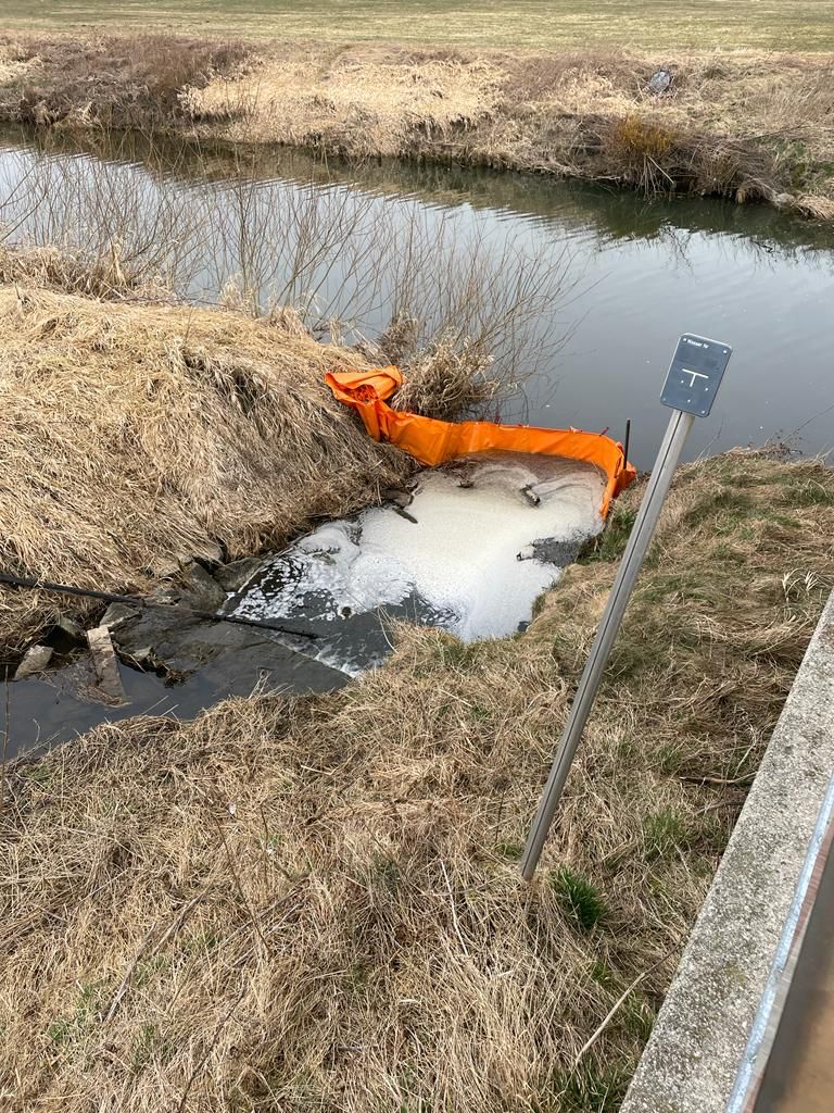 WhatsApp Image 2022-03-16 at 21.09.44(1)